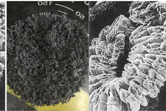 +100 Maille Graphite expansé à haute teneur en carbone