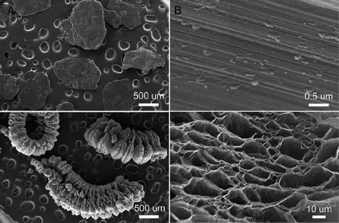 Poudre de graphite expandable haute performance pour la conductivité thermique