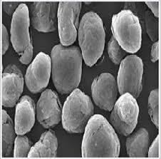 Matériau d'anode de graphite de haute qualité pour batterie lithium-ion